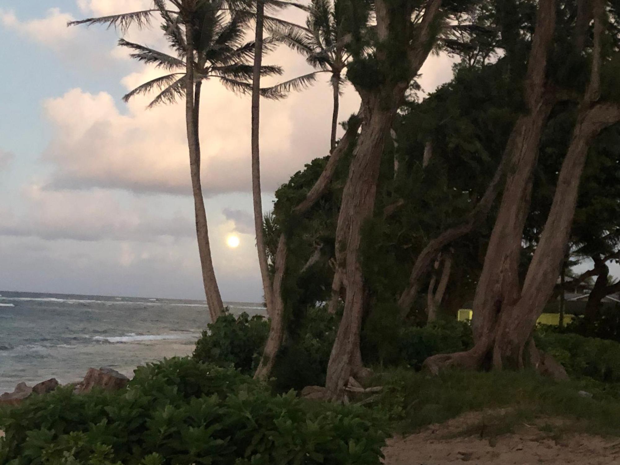 Tropical Treasure On A White Sandy Beach Villa Laie Екстериор снимка